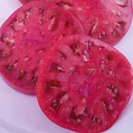 Organic Watermelon Beefsteak Tomato Seeds ~25 Seeds - Organic, Heirloom, Open Pollinated, Non-GMO, Farm & Vegetable Gardening Seeds