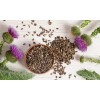 Cardo Mariano Extracto-tintura 120ml Gotero Incluido