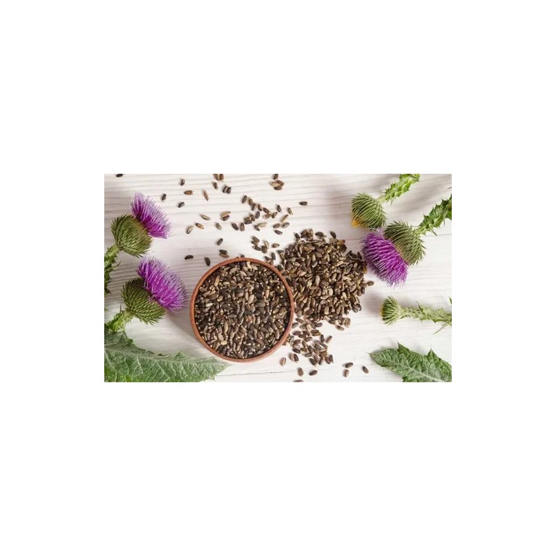 Cardo Mariano Extracto-tintura 120ml Gotero Incluido