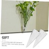RORPOIR 2Pcs Wall-mounted Cone Vase Hydroponic Planter Clear Decorative Hanging