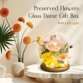 Preserved Flowers for Mom - Preserved Champagne Roses in Glass Dome with LED Light for Girlfriend, Eternal Real Flowers for Women, Unique Long-Lasting Gift to Celebrate Mother's Day (Prime Delivery)