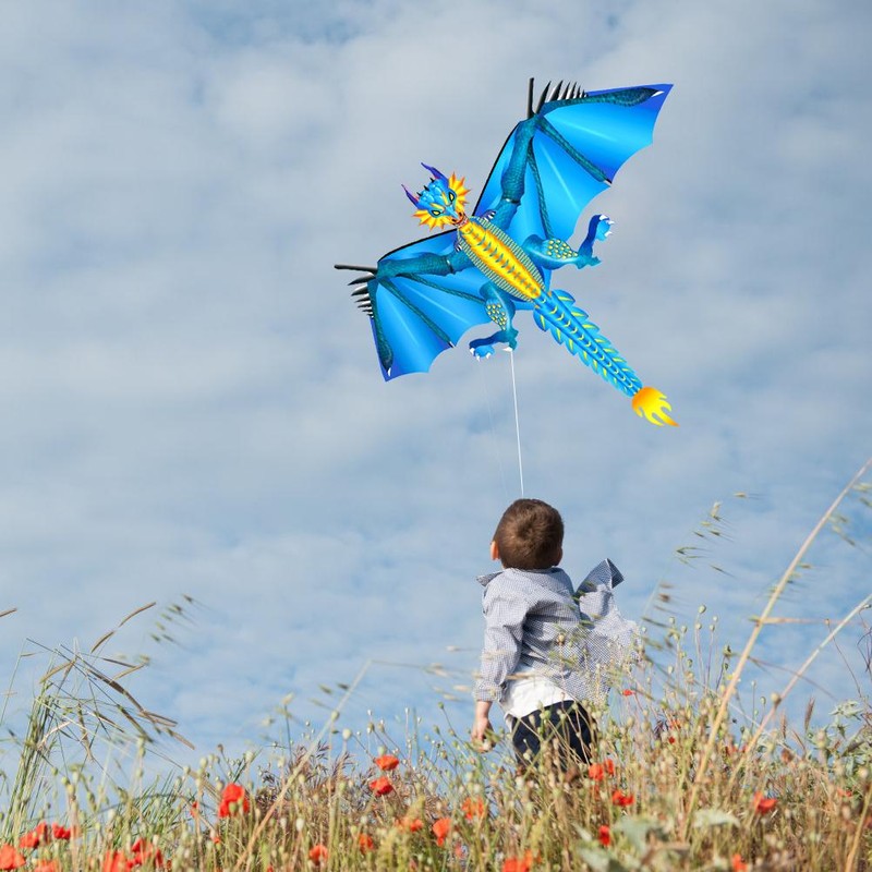 Dragon Kite for Kids and Adults Easy to Fly Kite