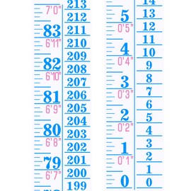 Tatuo Growth Chart Wall Labels Height Indicator Tape Ruler Growth Chart Decor Height Indicator Adhesive Ruler for Home Room Measuring(Blue)