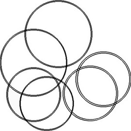 RAParts 539535R91 New Brake O-Ring Kit Fits Case-IH Tractor Models 385 395 454 464 +