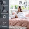 Olive + Crate Tencel Eucalyptus Pillowcases - 100% Tencel Lyocell