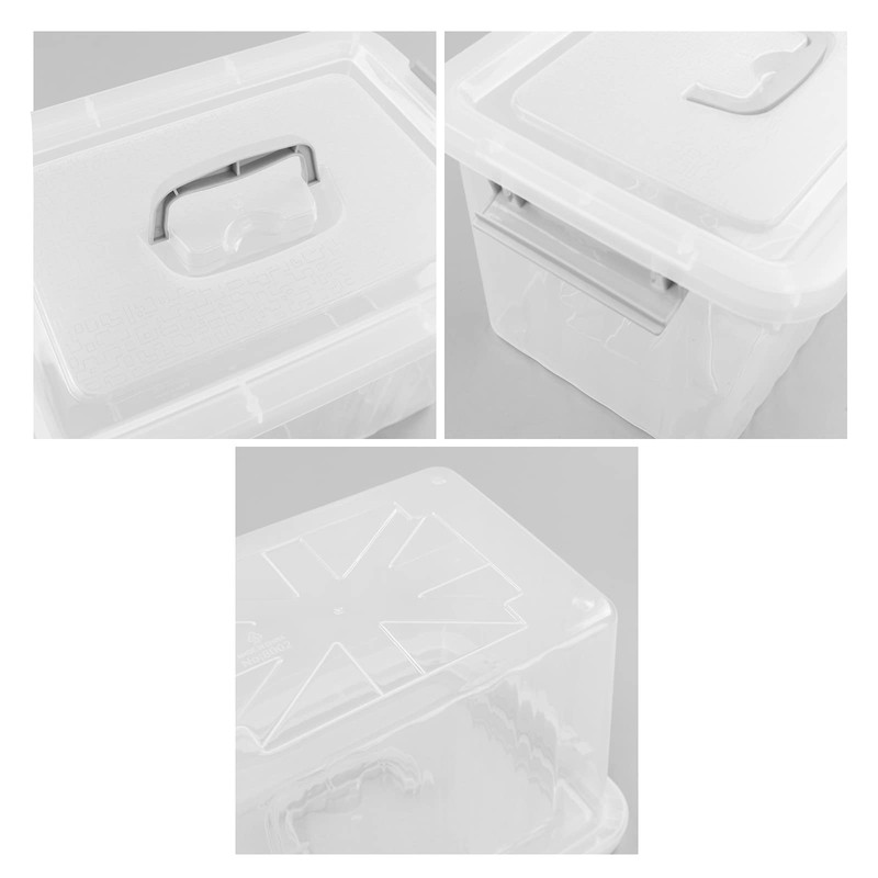 Callyne 10 L Clear Plastic Storage Box, 6-Pack Storage Latch