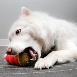 KONG KONG Marathon - Pet Supplies for Training & Playtime - Healthy Dog Treat for KONG Dog Toys - For Large Dogs - Chicken Flavor - 2 Pack (4 Pieces Total)