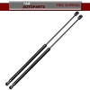 Unbranded 2x Rear Trunk Tailgate Hatch Lift Supports For Infiniti