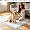 Tapete Entrenador para Perro, 50 Piezas de 60 x 60