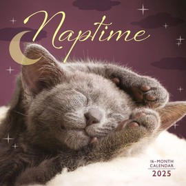 Carousel Calendars, Naptime 2025 Mini Wall Calendar