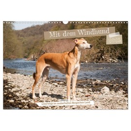 Mit dem Windhund unterwegs im zauberhaften Bergischen Land (Wandkalender 2025 DIN A3 quer), CALVENDO Monatskalender