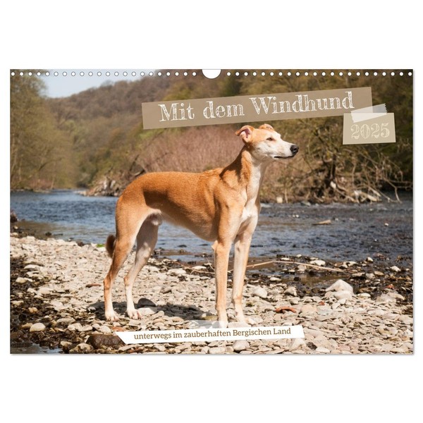 Mit dem Windhund unterwegs im zauberhaften Bergischen Land (Wandkalender 2025