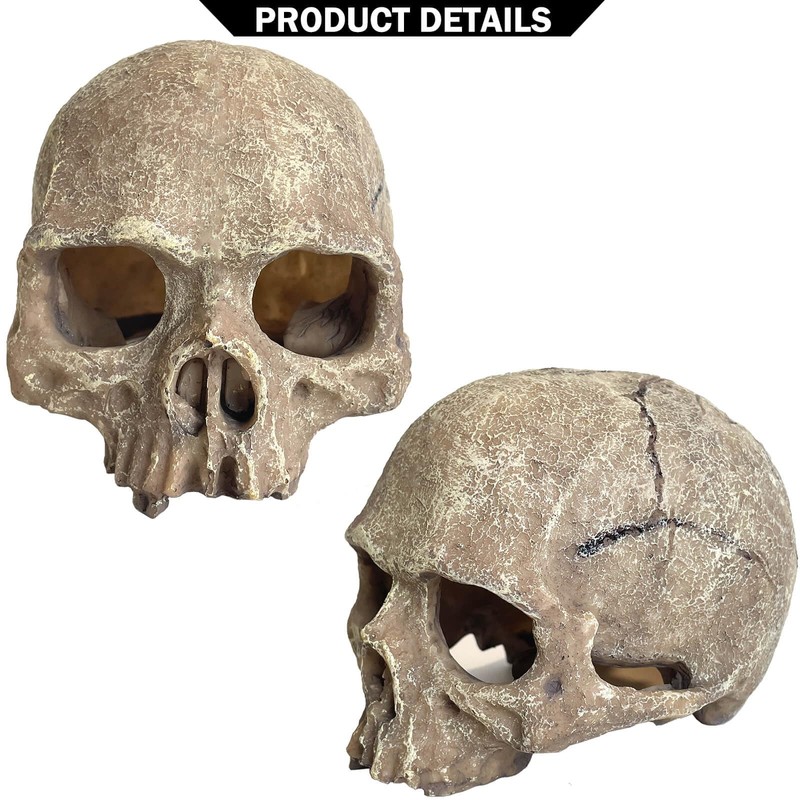 Aquarium Decoration for Fish Tank Skull Head Skeleton Aquarium Ornament
