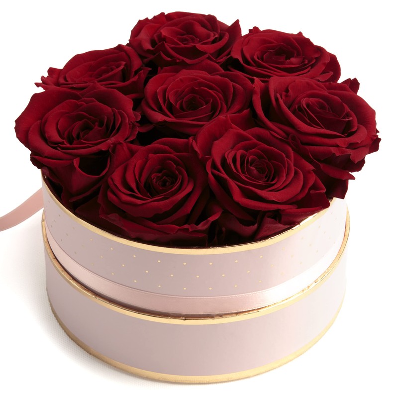 ROSEMARIE SCHULZ Heidelberg Rose Box Pink Round Infinity Roses -