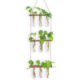 Wall Terrarium Propagation Station for hydroponic plants-3 Tier hanging test tube vase with 9 Test Tubes 2 non-marking nails(Dark Wood color)