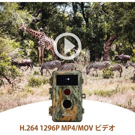 Blazevideo Trail Camera, A252, 1296P Motion Sensor, Security Camera, Wildlife Surveillance Camera, Night Vision Camera, 120° Shooting Range, 48 Megapixels, Supports Up to 512 GB Cards, Night