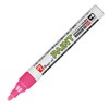 Teranishi Chemical MSR550-T12 Magic Ink Paint Marker, SR No.550, Medium