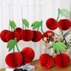 Cherry Birthday Party Decor, Hanging Paper Honeycomb Ornaments, Cherry Paper
