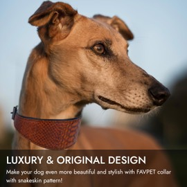 FAVPET Sighthound Wide Leather Dog Collar with ID Tag QR for Whippet Italian Greyhound Saluki Borzoi Lurcher Spanish Galgo, Luxury Dog Collars, Soft Leather Dog Collar for Sensitive Neck (Brown, M)