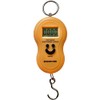 Glory Fish CS-004 Digital Scale