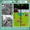 Shimeyao 19 Inch Squirrel Baffle and Squirrel Barrier Spring Device