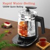 ICOOKPOT Hot Tea Maker Glass Electric Kettle with Infuser and