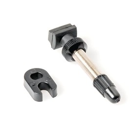 DT Swiss Tubeless Presta Valves Road 73mm Single Silver