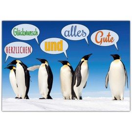 Penguine A4 XXL Greetings Card with Envelope – Elegant Folding Card Suitable for All Occasions such as Birthday, Wedding, Baby, Anniversary Card from BREITENWERK