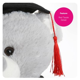 FURRY PLANET TOYS Graduation Teddy Bear 9” / 23 cm - Gift for Her Him Present Cute Bear with Scroll, Robe and Hat