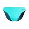 Speedo Men's Print Beachstar Brief 2" Brief, Arctic Glass, 38