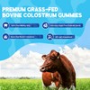 VIFSSG Grass Fed Colostrum Supplement 2000mg, 120 Gummies Sugar Free