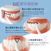 デンタルスプラッシュ Dental Splash ポンプ型 口腔洗浄器 ジェット水流 コードレス ウォーターフロス 口腔洗浄機 デンタルフロス