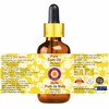Deve Herbes Pure Corn Oil (Zea mays) with Glass Dropper