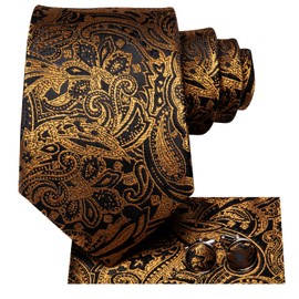 Hi-Tie Silk Paisley Ties for Men Necktie Pocket Square Cufflinks Set Foral Tie Sets Formal Business,Gold Paisley