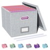 Oterri File Organizer, File Box, File Cabinet for Letter File