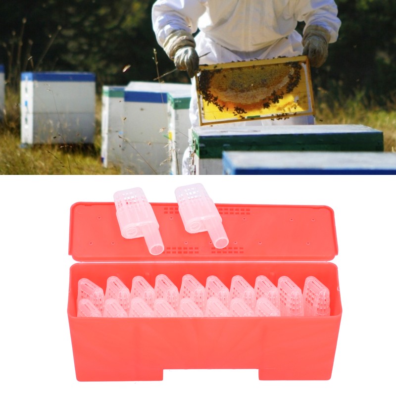 20Pcs Bee Queen Transporting Catcher Plastic Cage Container Beekeeping Equipment