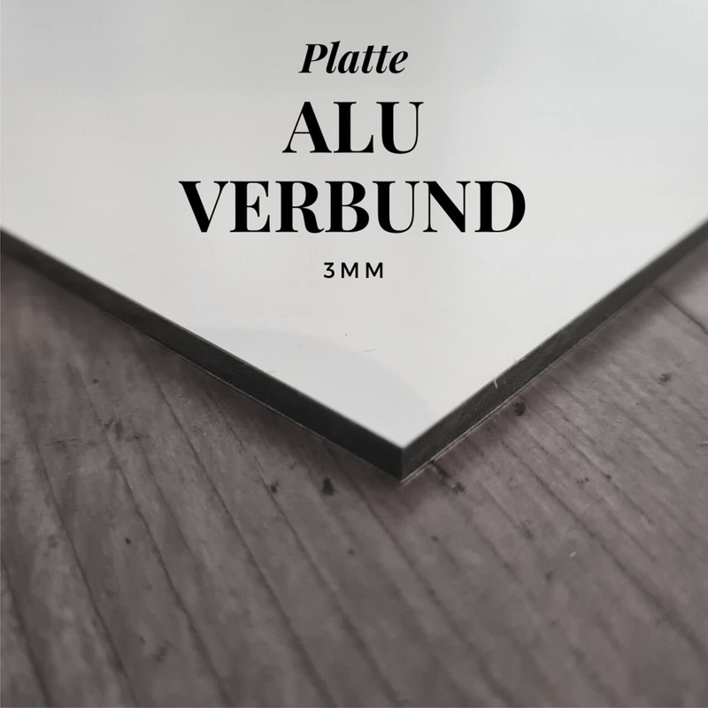 Tyroler Bracke Sign Danger Security System Door Sign Dog Sign