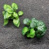 Smoothedo-Pets Aquarium Plants Betta Fish Tank Decorations 4inch/2pcs Soft Silk