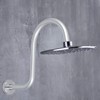 Shower Arm S Shape Gooseneck Stainless Steel Shower Head Extension