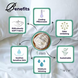 BedVoyage Ultra Soft King Pillowcase Set, Cooling & Breathable, Silky & Gentle to Skin and Hair, Luxury 100% Viscose Derived from Bamboo, 20x36 Envelope Closure, 2pc Set, King - Ivory