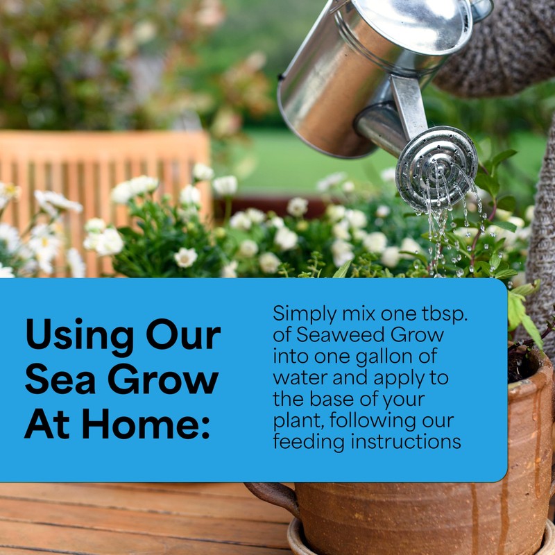 Grow More Sea Grow Flower & Bloom (4-26-26) - 1.5lbs