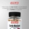 Cardo Mariano 500mg Suplemento Superlabs 100 Cápsulas Desintoxicante Hepático