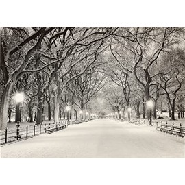 Lights of the Season Deluxe Boxed Holiday Cards (20 cards, 21 self-sealing envelopes)