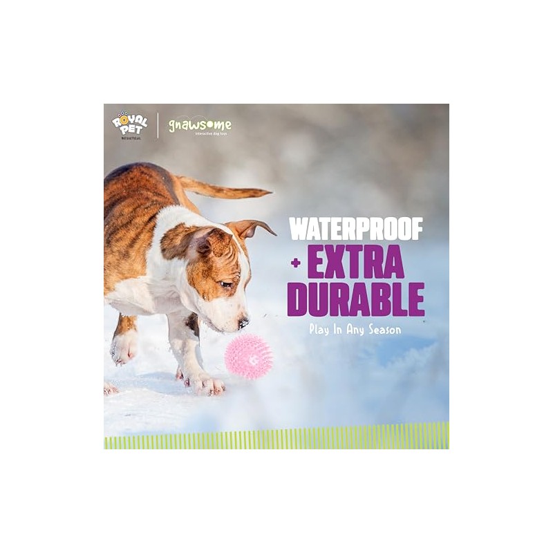 Gnawsome - Pelota de chirriador para Perro, tamaño Mediano, 8,9