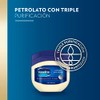 Vaseline Gelatina Pura Petrolato