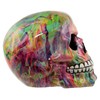 Puckator Rainbow Marble Effect Skull Ornament - Home Decoration -