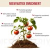 Eden Tomato Organic Enriched Fertilizer | Neem Plant Food 8-5-8