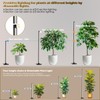 Grow Light with Auto-Timer, Hanging and Standing Grow Lights for