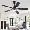 48 Inch Indoor Outdoor Large Ceiling Fans with Lights and