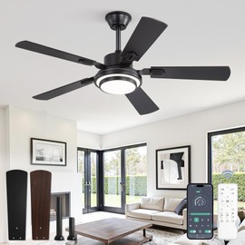 48 Inch Indoor Outdoor Large Ceiling Fans with Lights and Remote, Black